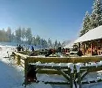 Pohorje Village Wellbeing - Forest Videc