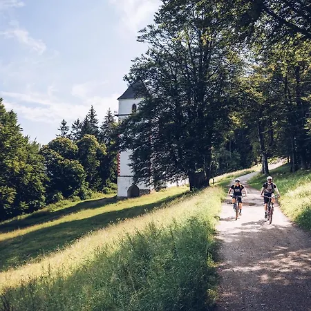 Pohorje Village Wellbeing - Forest Videc 3* Hocko Pohorje