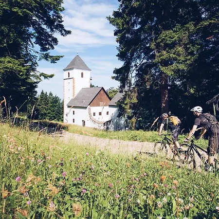 Pohorje Village Wellbeing - Forest Videc Hocko Pohorje