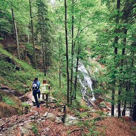Pohorje Village Wellbeing - Forest Videc 3*