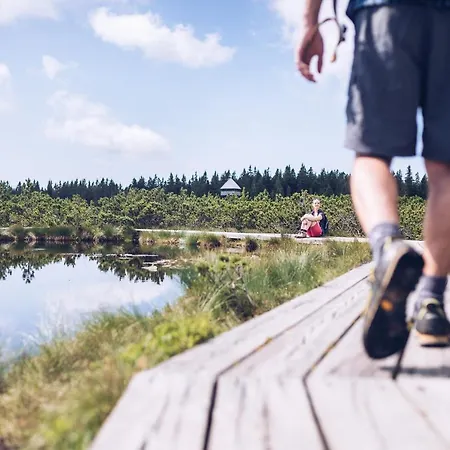 Pohorje Village Wellbeing - Forest Videc Hotel