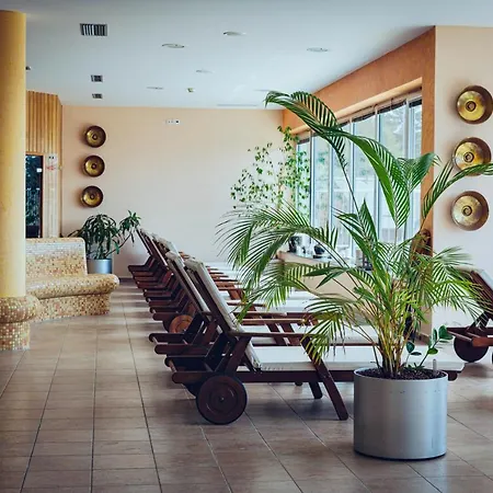 Hotel Pohorje Village Wellbeing - Forest Videc