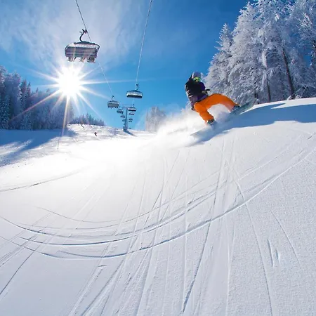 Hotel Pohorje Village Wellbeing - Forest Videc