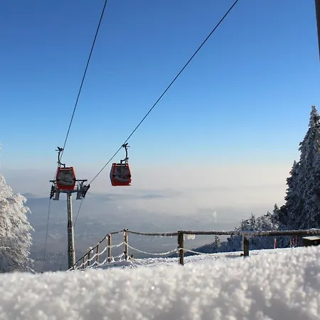 Hotel Pohorje Village Wellbeing - Forest Videc 3*