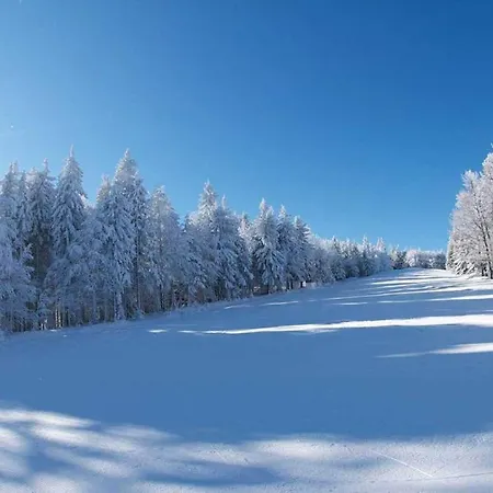 Pohorje Village Wellbeing - Forest Videc Hocko Pohorje