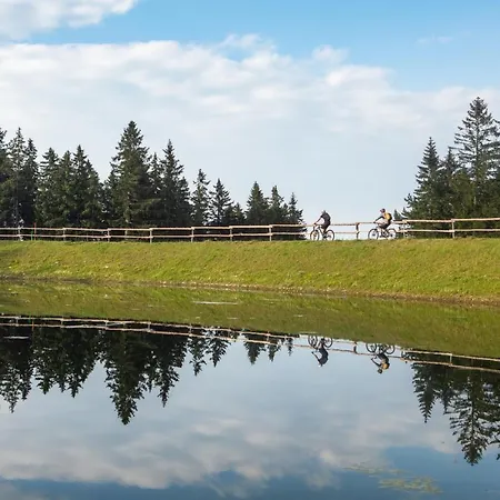 Pohorje Village Wellbeing - Forest Videc 3*
