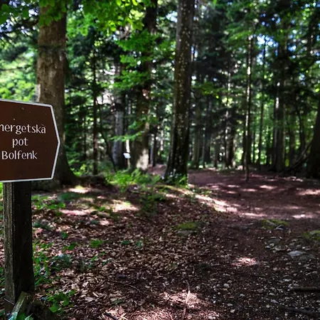 Pohorje Village Wellbeing - Forest Videc Hocko Pohorje