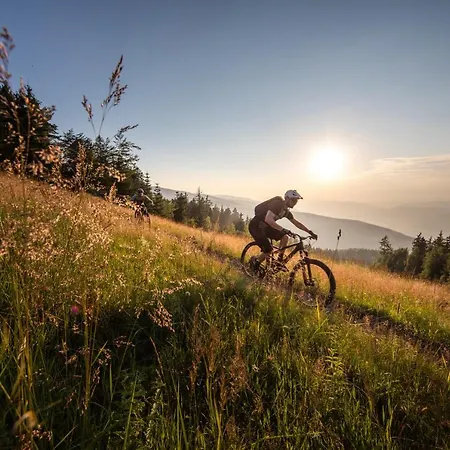 Pohorje Village Wellbeing - Forest Videc 3*