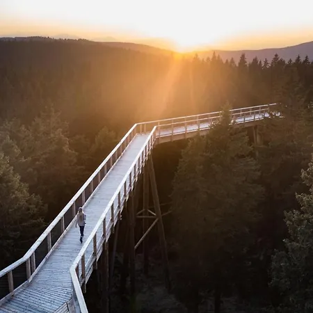 Pohorje Village Wellbeing - Forest Videc Hocko Pohorje