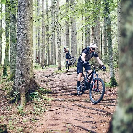 Pohorje Village Wellbeing - Forest Videc Hotel Hocko Pohorje