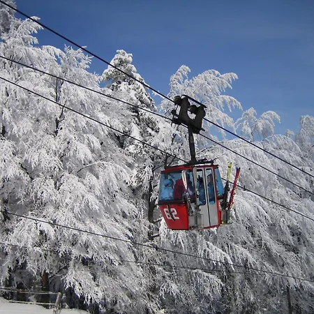Pohorje Village Wellbeing - Forest Videc