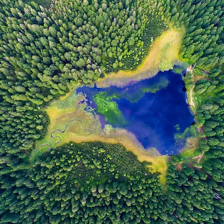 Hotel Pohorje Village Wellbeing - Forest Videc 3*