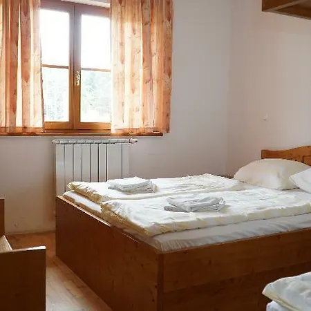 Pohorje Village Wellbeing - Forest Videc Hotel