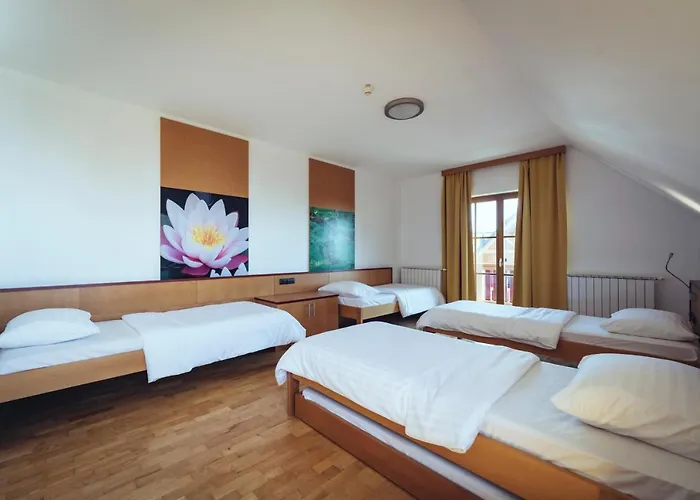 Pohorje Village Wellbeing - Forest Videc 3*