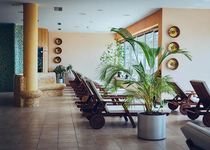 Hotel Pohorje Village Wellbeing - Forest Videc