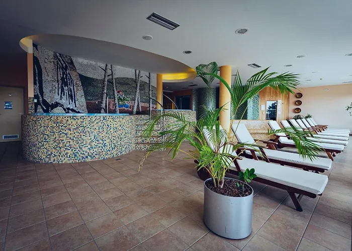 Pohorje Village Wellbeing - Forest Videc Hocko Pohorje