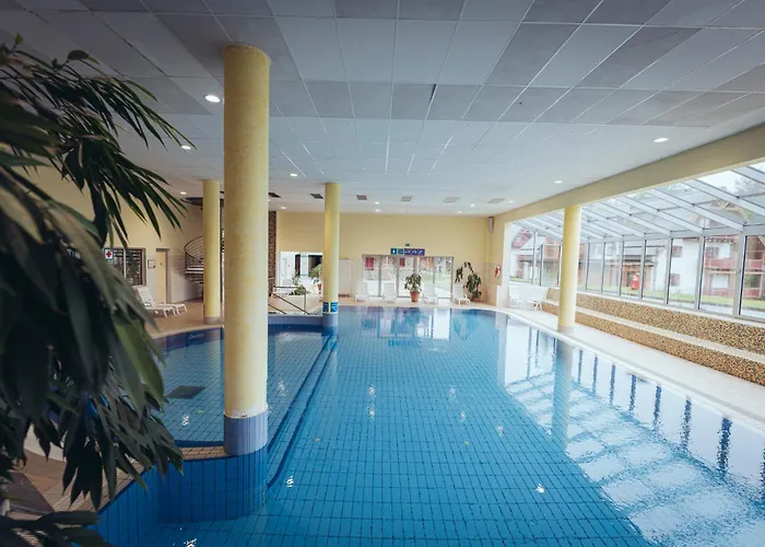 Ξενοδοχείο Pohorje Village Wellbeing - Forest Videc 3*