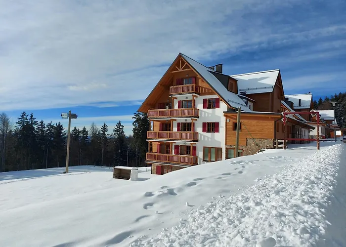 Ξενοδοχείο Pohorje Village Wellbeing - Forest Videc 3*