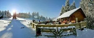 Pohorje Village Wellbeing - Forest Videc